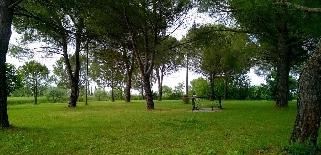 Agriturismo Podere Caggiolo - Swimming Pool & Air Conditioning Marciano della Chiana ภายนอก รูปภาพ