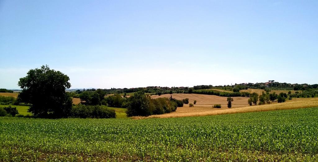 Agriturismo Podere Caggiolo - Swimming Pool & Air Conditioning Marciano della Chiana ภายนอก รูปภาพ